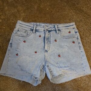 Judy Blue Embroidered Light Blue Denim Shorts